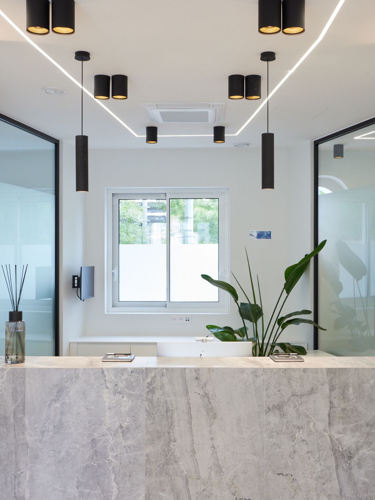 Dr. Ludovica Martini